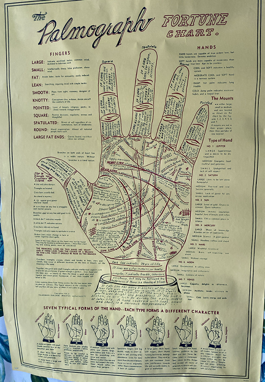 The Palmography & Fortune Chart